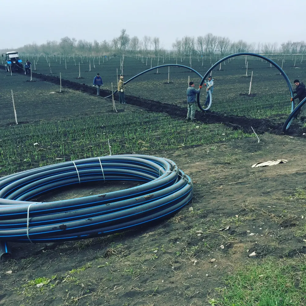 The team lays the drip-irrigation main line